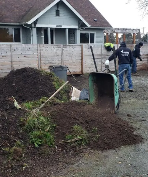 New Lawn Installation in Seattle 